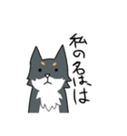 汎用性重視の柴犬+αスタンプ（個別スタンプ：10）