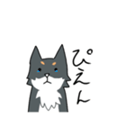 汎用性重視の柴犬+αスタンプ（個別スタンプ：11）