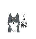 汎用性重視の柴犬+αスタンプ（個別スタンプ：12）