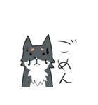 汎用性重視の柴犬+αスタンプ（個別スタンプ：14）