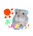 あめっちあめあめ（個別スタンプ：1）