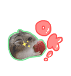 あめっちあめあめ（個別スタンプ：5）