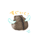 あめっちあめあめ（個別スタンプ：8）