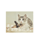 可愛い猫さまレオン（個別スタンプ：1）