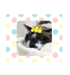 ミミちゃんが大好きだよ（個別スタンプ：8）