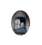 普通に猫と犬（個別スタンプ：3）