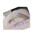 ♡1212♡（個別スタンプ：3）