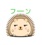 ハリーネズミのいつもの会話（個別スタンプ：12）