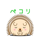 ハリーネズミのいつもの会話（個別スタンプ：16）