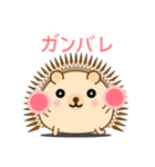 ハリーネズミのいつもの会話（個別スタンプ：18）