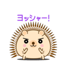 ハリーネズミのいつもの会話（個別スタンプ：34）