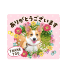 マロンちゃんの思い出3（個別スタンプ：7）