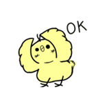 とってもゆる〜いひよこ（個別スタンプ：1）
