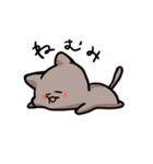 ふわっと生きてるねこ（個別スタンプ：16）