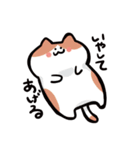 ふわっと生きてるねこ（個別スタンプ：24）