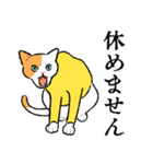 ねこがいろいろ（個別スタンプ：30）