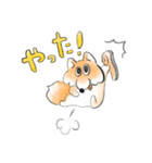 クマノタ2（個別スタンプ：30）