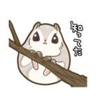 エゾモモンガさん（個別スタンプ：16）