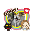 むさしくん(秋田犬)（個別スタンプ：4）