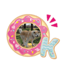 むさしくん(秋田犬)（個別スタンプ：5）