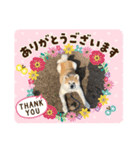 むさしくん(秋田犬)（個別スタンプ：7）