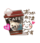 ミックス犬 ココちゃん（個別スタンプ：4）