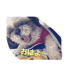 チョコタンの日常1（個別スタンプ：4）