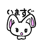 ながみみウサギの4文字（個別スタンプ：5）