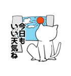 白い猫と色付きの猫（個別スタンプ：22）