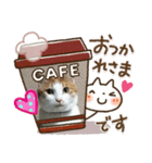 にゃんスタ‼️（個別スタンプ：5）