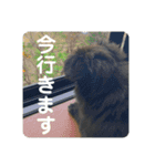 かぶのすたんぷ（個別スタンプ：5）