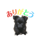 かぶのすたんぷ（個別スタンプ：10）