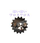 つくねでござる（個別スタンプ：4）