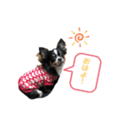 つくねでござる（個別スタンプ：18）