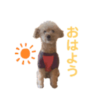 イッヌのすたんぷ（個別スタンプ：2）