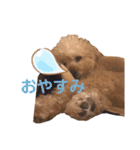 イッヌのすたんぷ（個別スタンプ：10）