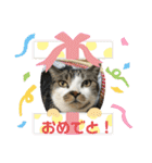 マリコとミヨコ ペット（個別スタンプ：17）