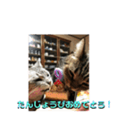 マリコとミヨコ ペット（個別スタンプ：23）
