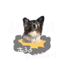 ミルキー三昧〜リターンズ〜（個別スタンプ：9）