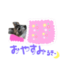 ミルキー三昧〜リターンズ〜（個別スタンプ：12）