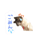 ミルキー三昧〜リターンズ〜（個別スタンプ：17）