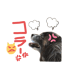 ミルキー三昧〜リターンズ〜（個別スタンプ：20）