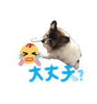 ミルキー三昧〜リターンズ〜（個別スタンプ：24）