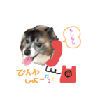 ミルキー三昧〜リターンズ〜（個別スタンプ：25）