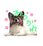 ミルキー三昧〜リターンズ〜（個別スタンプ：27）