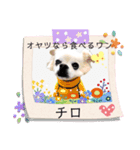 シンプルいまおん（個別スタンプ：25）