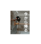 まめちゃんスタンプ～ぽてとぽてと～（個別スタンプ：8）