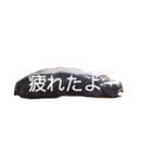 動物スタンプ Ky（個別スタンプ：4）