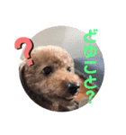 プリンの日常〜（個別スタンプ：4）