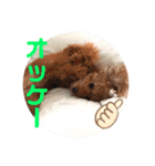 プリンの日常〜（個別スタンプ：5）